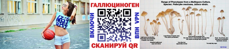 Галлюциногенные грибы Psilocybe Сыктывкар